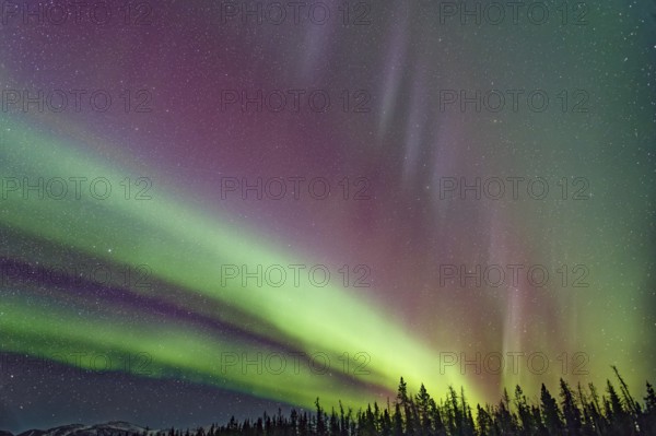 Aurora Borealis, Northern Lights, extreme starry sky, intense colouring, Yukon Territory, Canada,