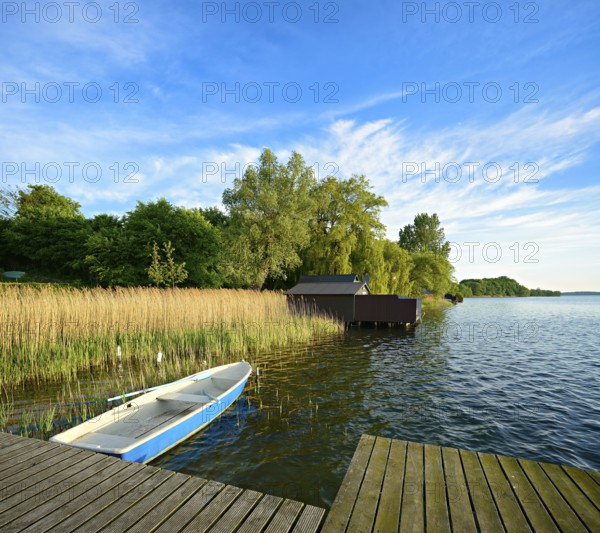 Wooden jetty in the reeds, rowing boat and boathouses, Schaalsee Biosphere Reserve, Zarrentin am
