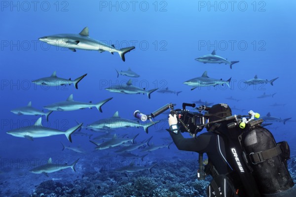 Cameraman with professional underwater video camera RED Dragon X 6K Digital Cinema Camera in