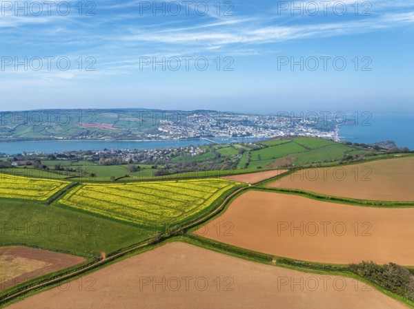 Rapeseed fields over the River Teign from a drone, Teignmouth, Shaldon, Devon, England, United