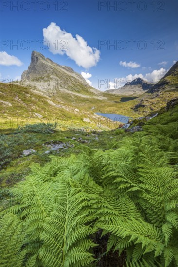 View of the Alnesdalen valley, Stigbotthornet mountain, Alnesvatnet lake, Reinheimen National Park,