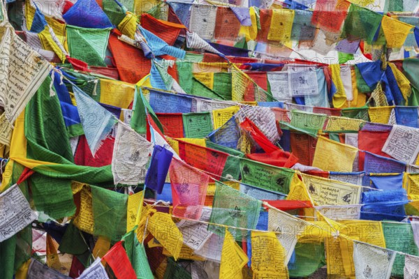 Tibetan Buddhism prayer flags (lungta) with Om Mani Padme Hum Buddhist mantra prayer. Leh, Ladakh,