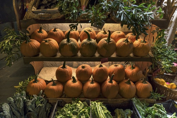 Shelves of Hokkaido pumpkins in front of a fruit shop open at night in the historic centre, Genoa,