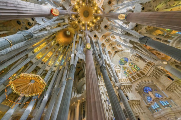 Interior of the Familia Sagrada, religion, Christianity, by the architect Antonio Gaudi in