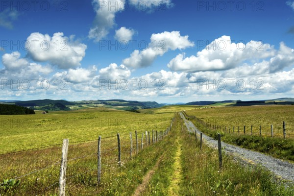 Cezallier plateau in the Auvergne volcanoes regional natural park, Puy de Dome department,