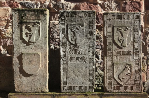 Gravestones in the Bibras Chapel in the ruins of St. Mary's Monastery Church, Veßra Monastery,