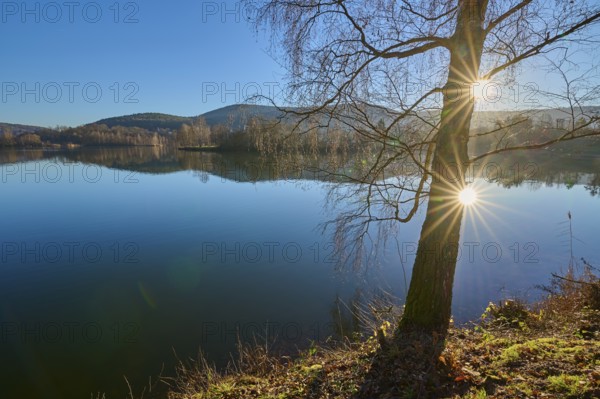 Tree on lake with sun, Freudenberg am Main, Untermain, Spessart, Odenwald, Franconia,