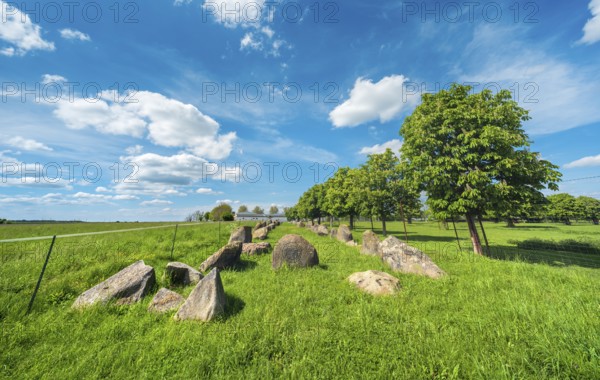 The megalithic tomb of Gehrden, Neolithic megalithic burial site, Zerbst (Anhalt), Saxony-Anhalt,