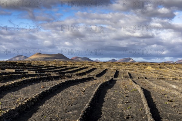 Volcanic crater, The stony terraces of volcanic soil stretch out under a dramatic, cloudy sky, with