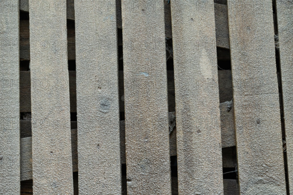 Wooden boards covered with hoarfrost. Abstract rustic background, winter concept. Frost texture,