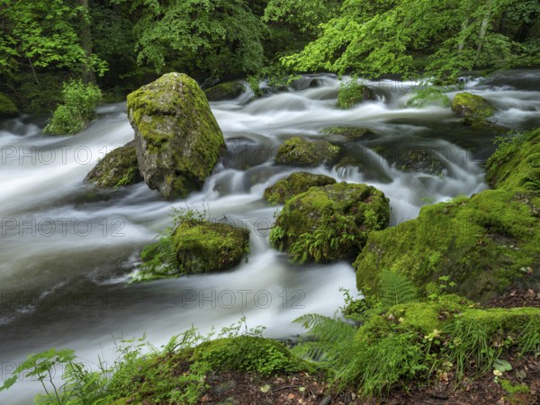 White water and rapids on the Trieb stream in the Triebtal nature reserve in Vogtland, Plauen,
