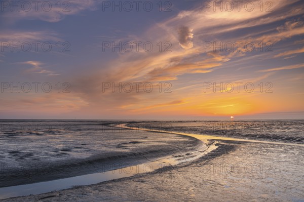 View of a tidal flat in the Wadden Sea at low tide at sunset, National Park, Unesco, World Natural