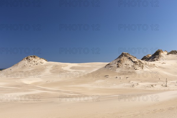 Lacka Dune on a sunny day with a blue sky in the Slowinski National Park, northern Poland on the