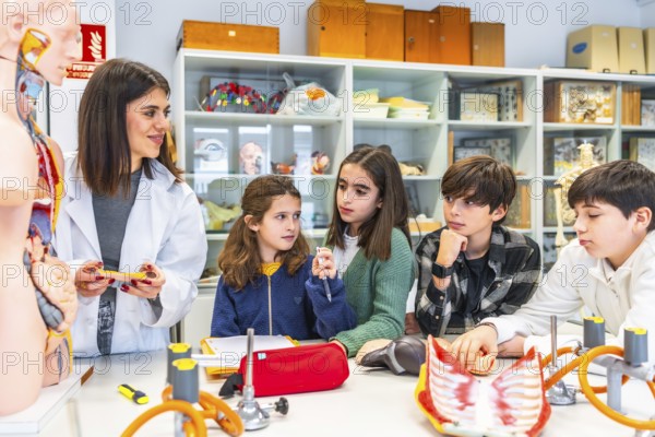 Elementary school students learning about human body anatomy with anatomical model in science class