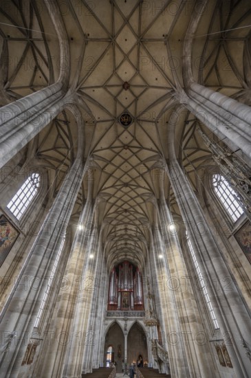Reticulated vault and organ loft of the late Gothic hall church of St George, Dinkelsbühl, Bavaria,