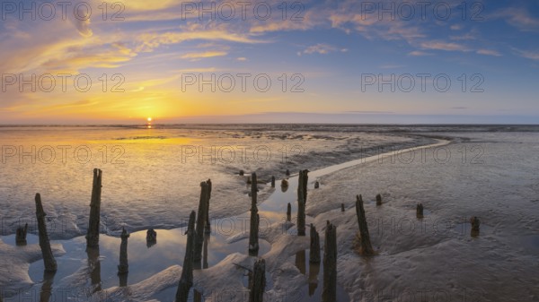 View of old rotten stakes in the Wadden Sea at low tide at sunset, National Park, Unesco, World