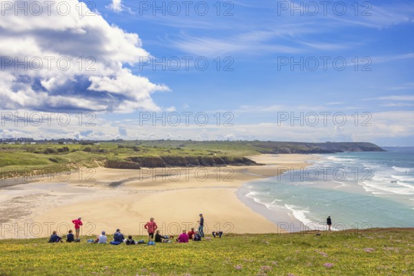 Group of hikers resting on a flowering meadow by a beautiful sandy beach with a seascape view a