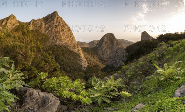 Los Roques, striking rock towers, Monumento Natural de los Roques, La Gomera, Canary Islands,