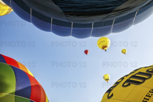 Several colourful hot air balloons rise into the air, view from below, mass launch, Hot Air Balloon