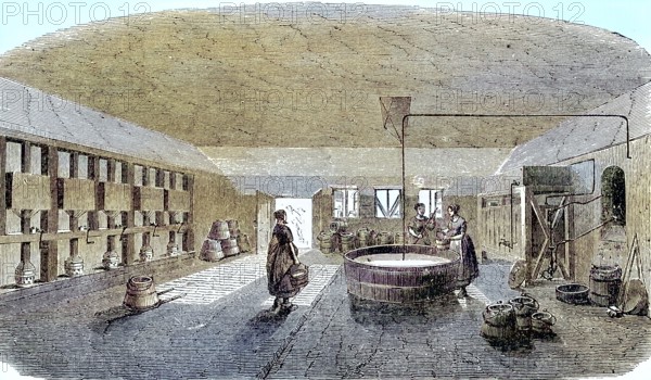 Model farm in Zealand in 1896, cheese cellar, Denmark, Historic, digitally restored reproduction of