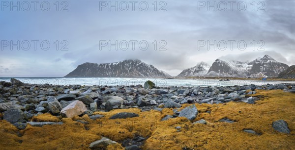 Panorama of rocky coast of fjord of Norwegian sea in winter with snow. Skagsanden beach, Lofoten