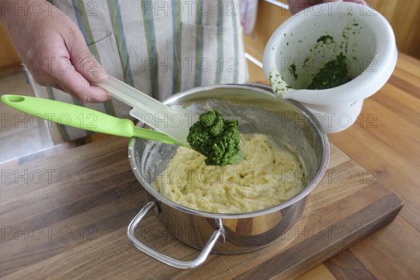 German cuisine, preparation of sauerbraten with mashed potatoes, adding rocket to mashed potatoes,