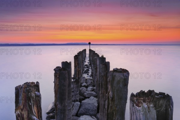 Ancient wooden piles in Lake Constance at sunrise against the light, near Altnau in the canton of