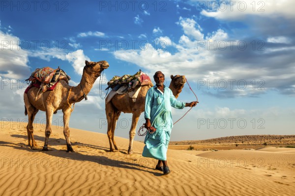 Rajasthan travel background, Indian cameleer (camel driver) with camels in dunes of Thar desert.