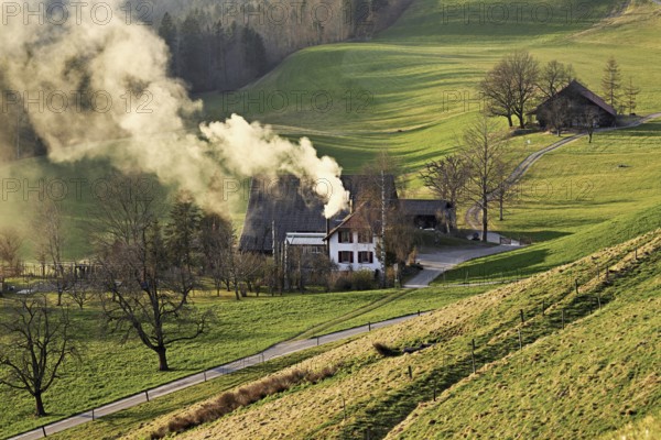 Farmhouse with smoking chimney, Hirzel, Canton Zurich, Switzerland, Europe