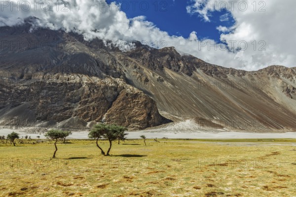 Himalayas and landscape of Nubra valley. Hunber, Nubra valley, Ladakh, India, Asia