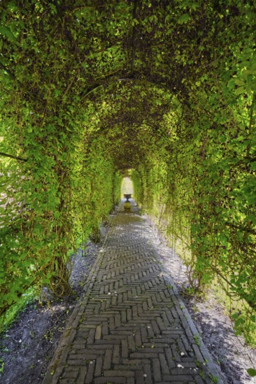 Green berceau arbour trellis overgrown garden path arcade arch way in Keukenhof garden. Lisse,