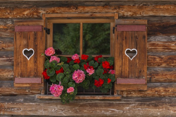 Windows with heart, Vorderlanersbach, Tux valley, Tux, Zillertal Alps, alpine mountain world,