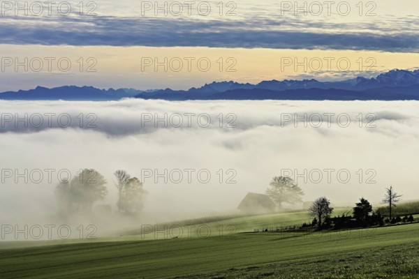 Fog over the Reuss valley, behind the snow-covered Alps, Schlatt, Freiamt, Canton Aargau,
