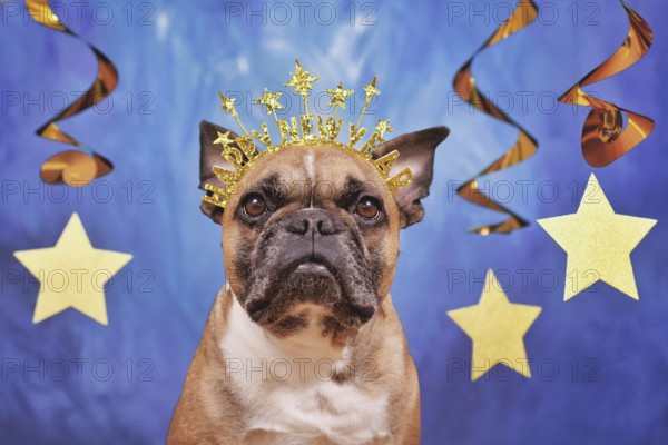 French Bulldog dog wearing New Year's Eve party headband with text 'Happy new year' in front of