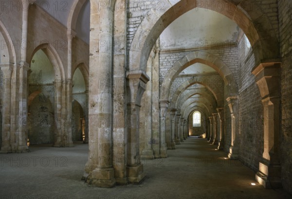 Nave of the Cistercian Abbey of Fontenay, Unesco World Heritage Site, Cote d'Or, Burgundy, France,