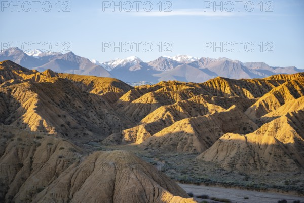 Landscape of eroded hills at sunrise, badlands, white mountain peaks of the Tian Shan Mountains in