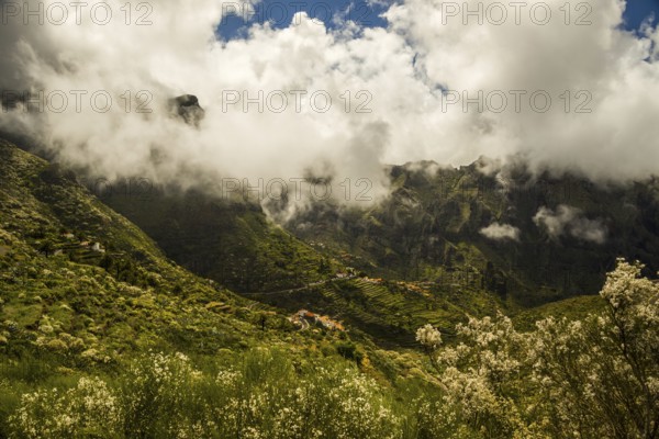 Panorama from the Mirador de Hilda viewpoint, Masca Valley, Teno Mountains, Tenerife, Canary