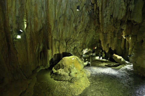 Arched turtle and crocodile, calcite formations, landmark of the grotto, stalactite cave,