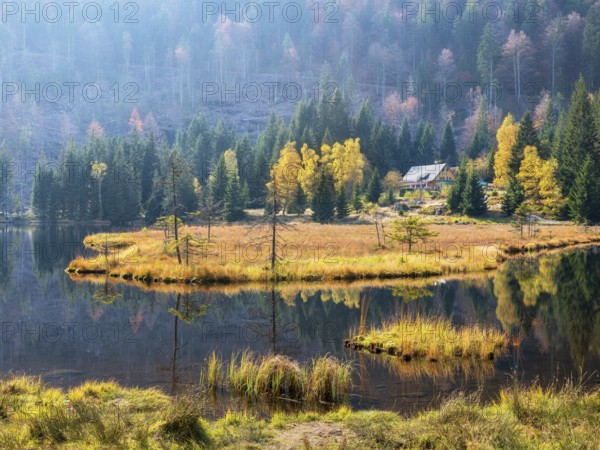 Kleiner Arbersee in autumn with Gasthof Seehäusl, Bavarian Forest, Lower Bavaria, Bavaria, Germany,