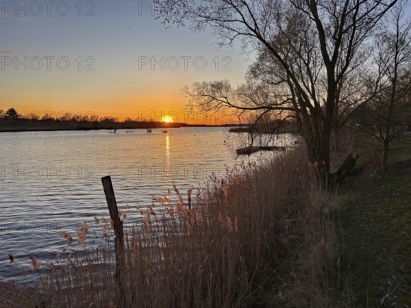 Romantic sunset over a river with trees and reeds on the banks, Gartow, Wendland, Lower Saxony,