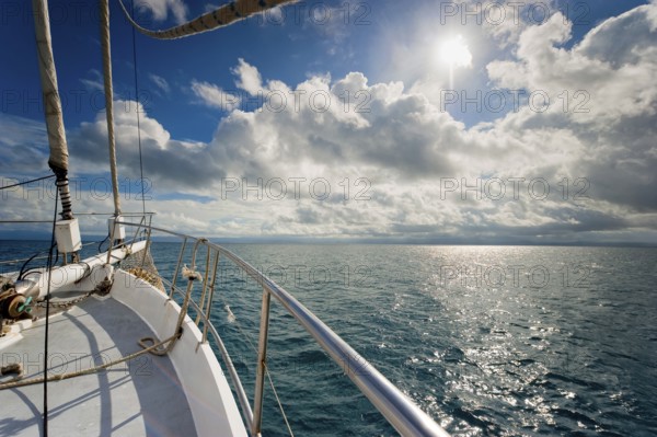 Sailing, sailing ship in the evening sun, backlight, sky, beautiful weather, atmosphere, journey,