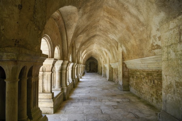 Cloister of the Cistercian Abbey of Fontenay, Unesco World Heritage Site, Cote d'Or, Burgundy,