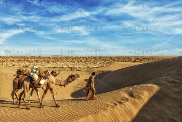 Rajasthan travel background, India cameleer (camel driver) with camels in dunes of Thar desert.
