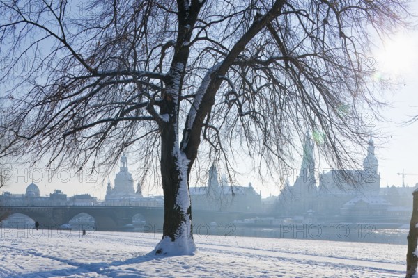 Dresden silhouette in winter