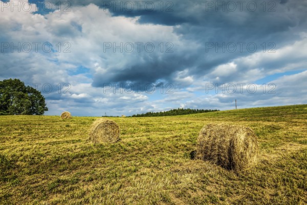 Agriculture background, a stunning summer landscape with hay bales scattered across a field, with a