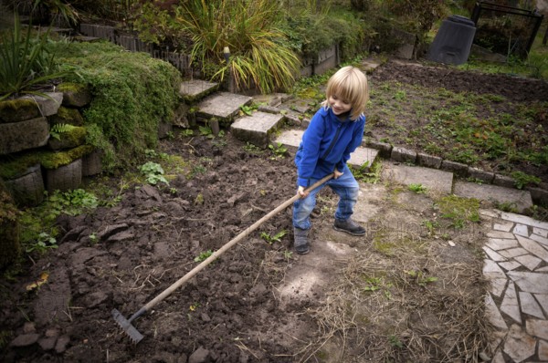Little boy, 6 years, blonde, gardening, rake, allotment, Stuttgart, Baden-Württemberg, Germany,