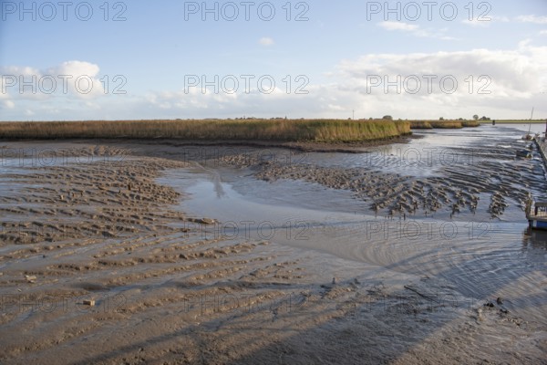 Low water, Ems, silt inflow, ferry harbour, Petkum, East Frisia, Germany, Europe