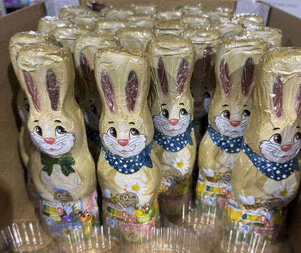 Display on retail shelf wholesale of chocolate Easter bunnies Easter bunnies made of chocolate