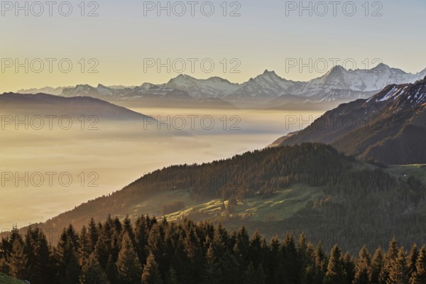 View from the Gurnigel Pass over the sea of fog behind Schreckhorn, Eiger, Mönch, Canton Bern,