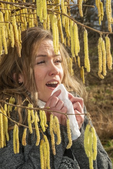 Young Caucasian woman with allergy problem stands by flowering hazel bush and sneezes into a